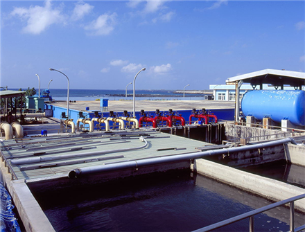 ?????????????? ??????????????